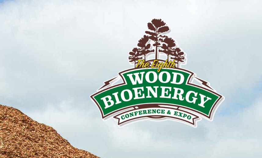 Wood bioenergy conference flyer