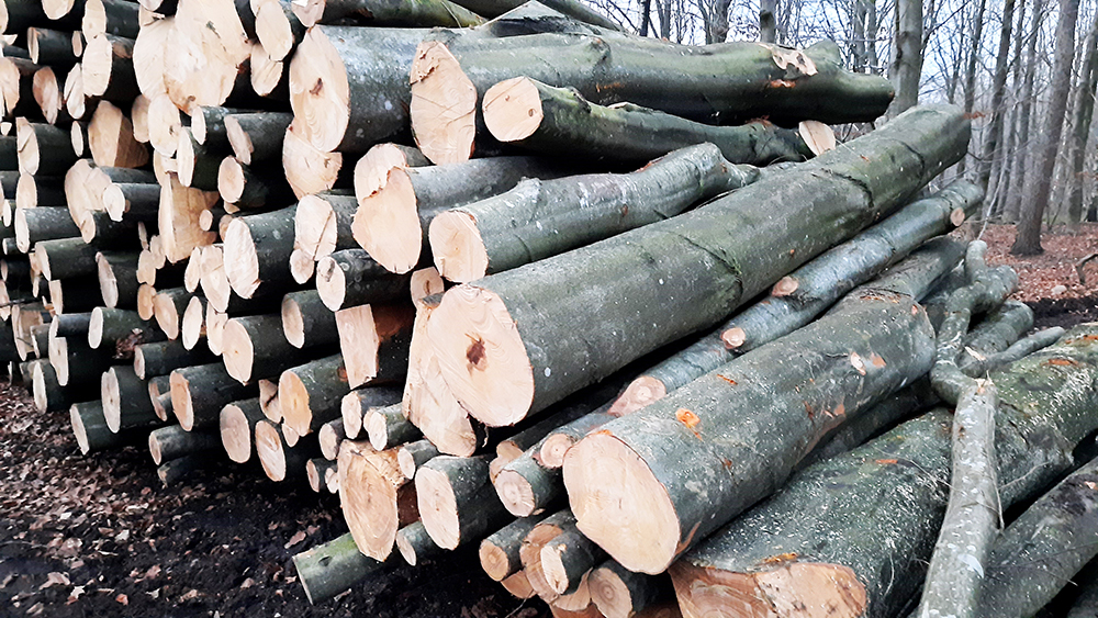 Woodprocessing logs