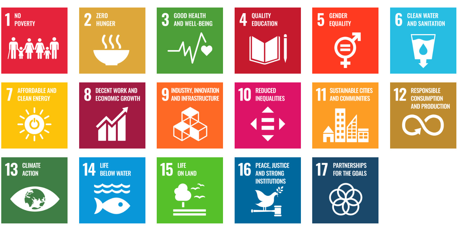 UN sustainability development goals