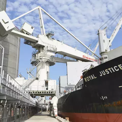 One of two Siwertell ship unloaders at Gladstone dock, Liverpool, UK One of two Siwertell ship unloaders at Gladstone dock, Liverpool, UK