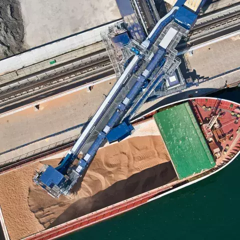 Siwertell ship unloader unloading biomass Siwertell ship unloader unloading biomass