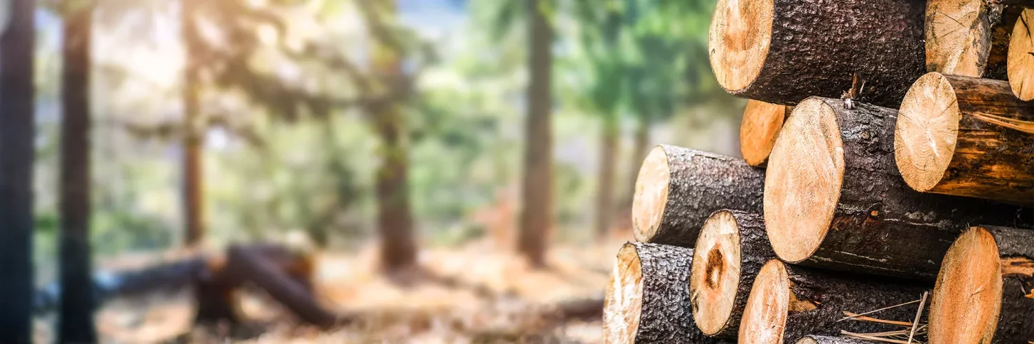 Bruks Siwertell wood processing