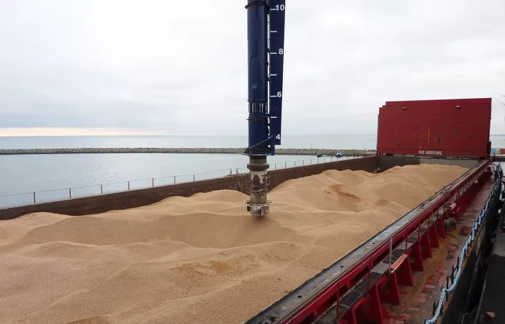 Siwertell multiple materials ship unloader unloading a ship with wood pellets