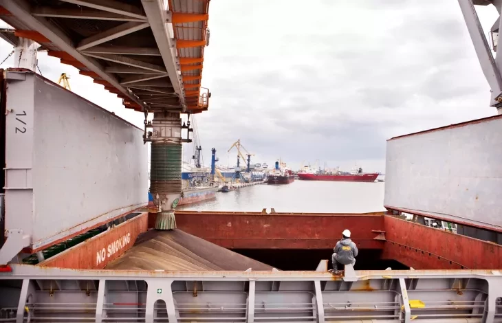 Rapseed being loaded onto a ship using a Siwertell ship loader